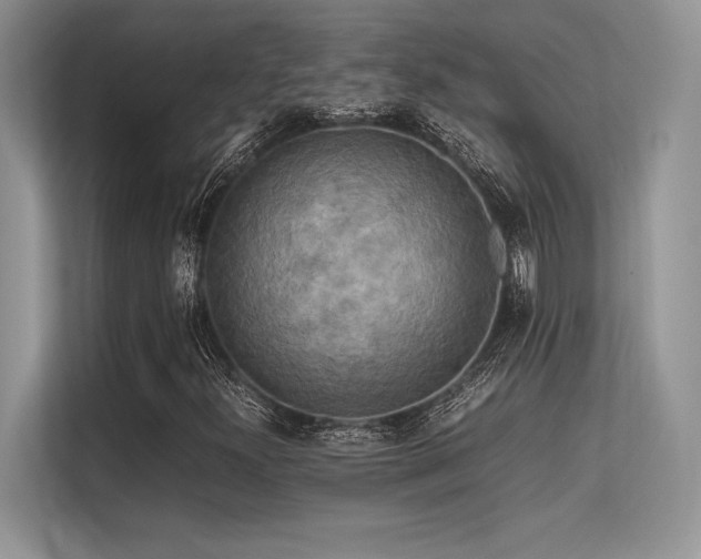 X0000113311300200909211133