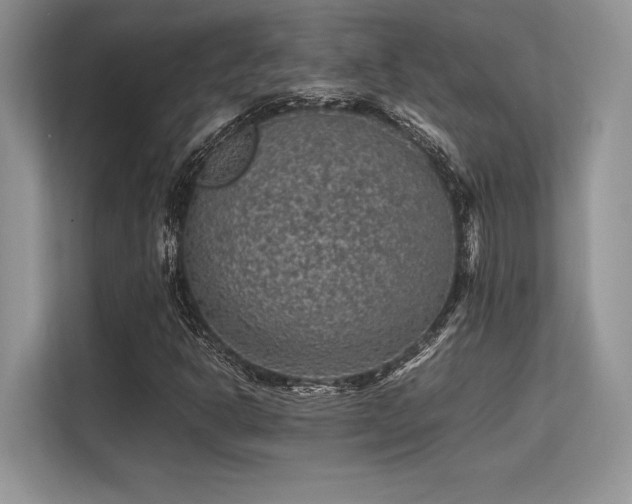 X0000113311302200909211133