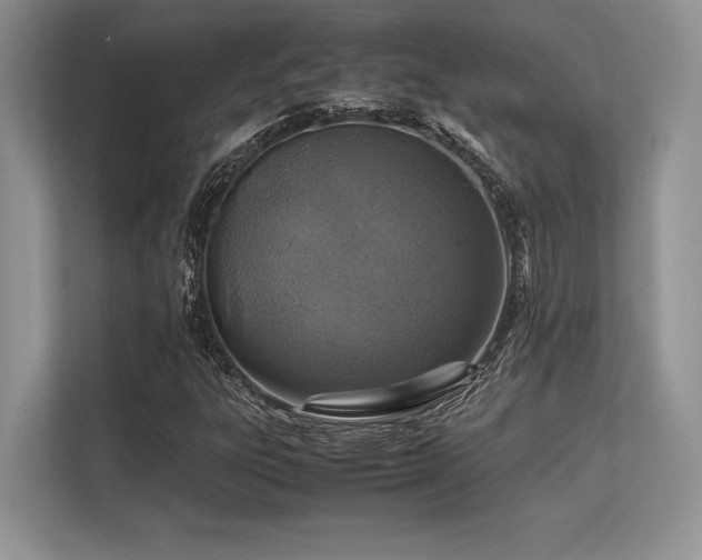 X0000113311303200909211133