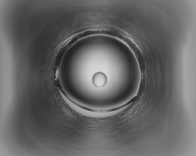 X0000113311304200909211133