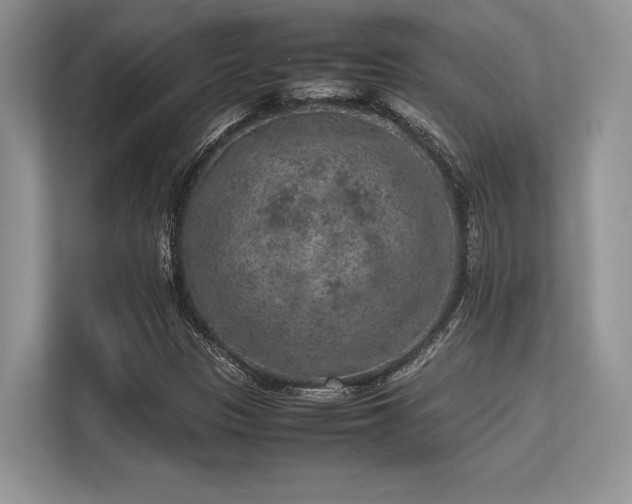 X0000113311305200909211133