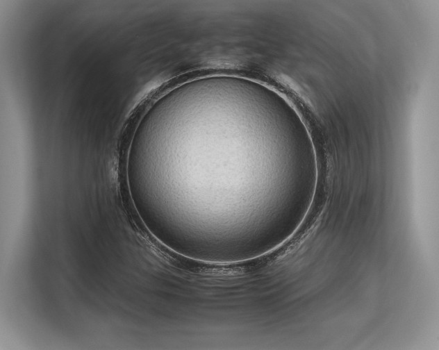 X0000113311307200909211134