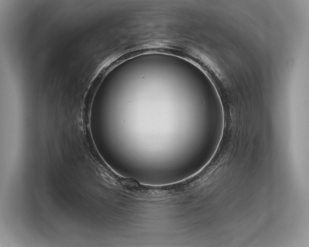 X0000113311308200909211134