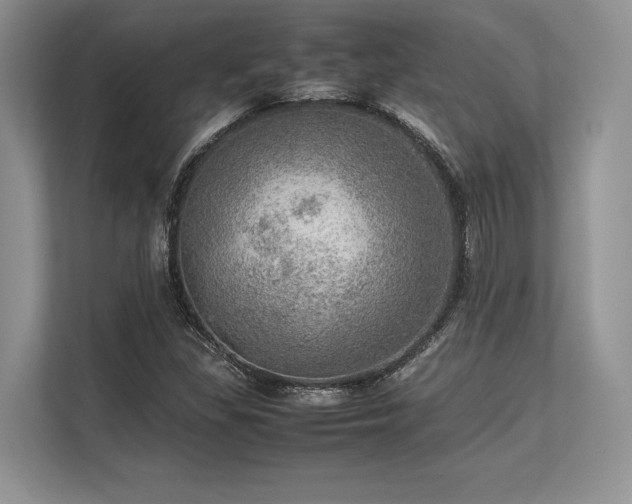 X0000113311309200909211134