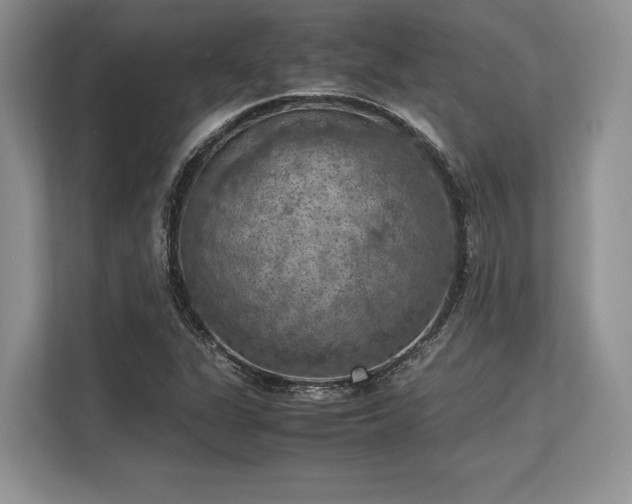 X0000113311311200909211134