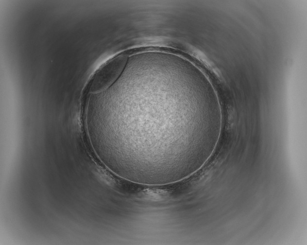 X0000113311312200909211134