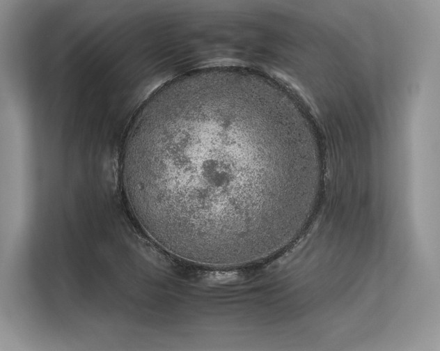 X0000113311313200909211134