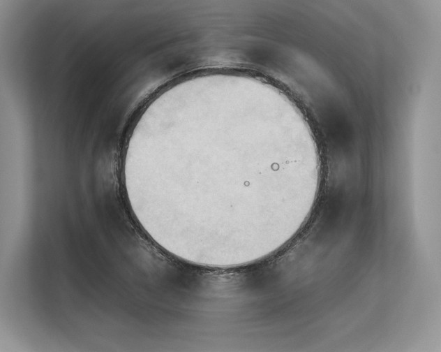 X0000113311314200909211134