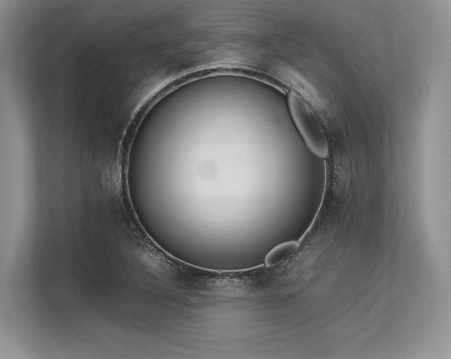 X0000113311316200909211134