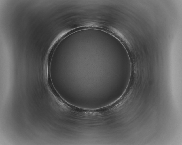 X0000113311323200909211134