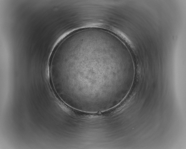 X0000113311324200909211134