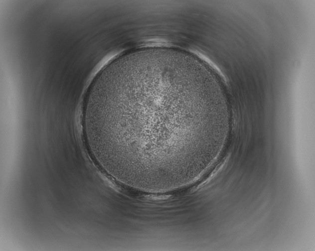 X0000113311325200909211134