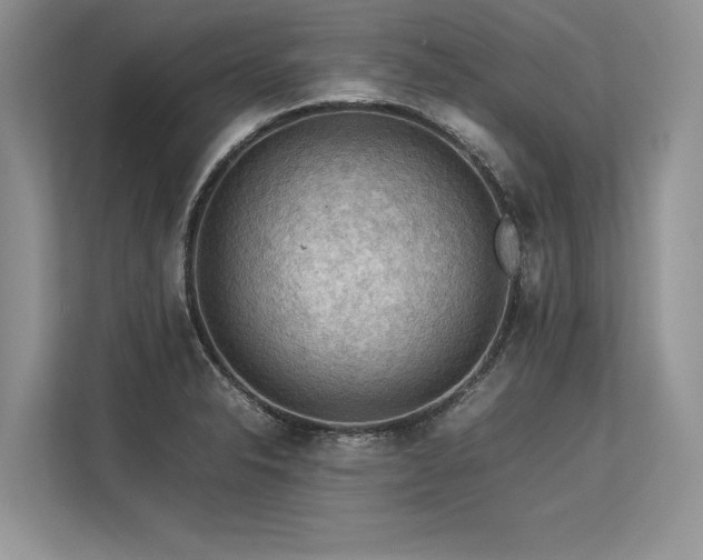 X0000113311326200909211134