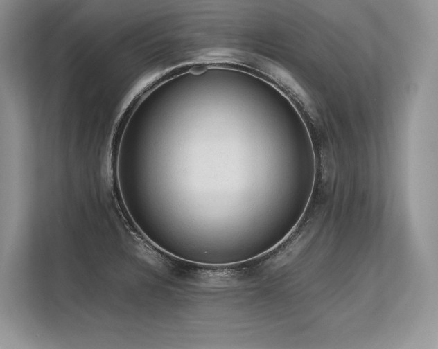 X0000113311328200909211134