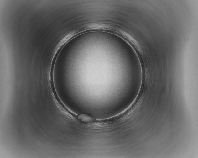 X0000113311330200909211134