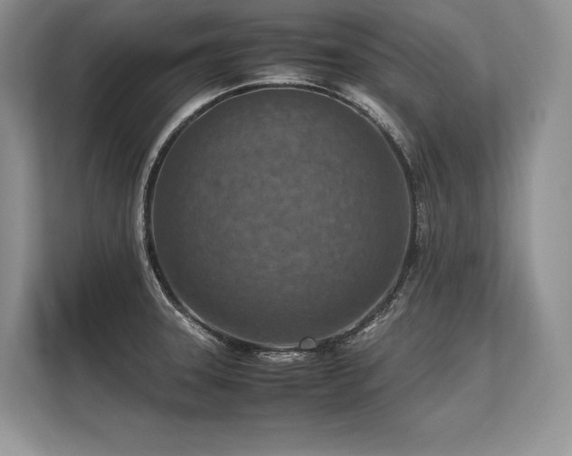 X0000113311331200909211134