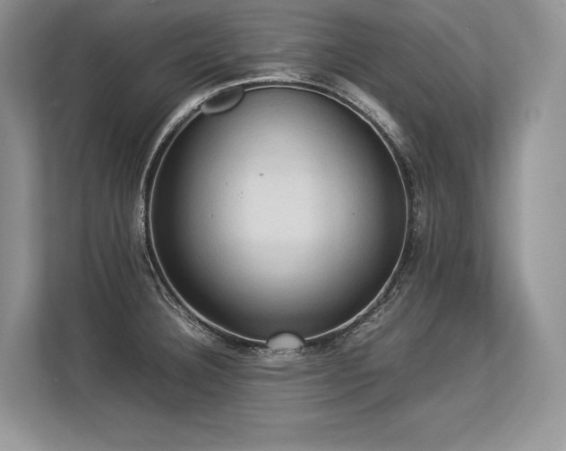 X0000113311332200909211134