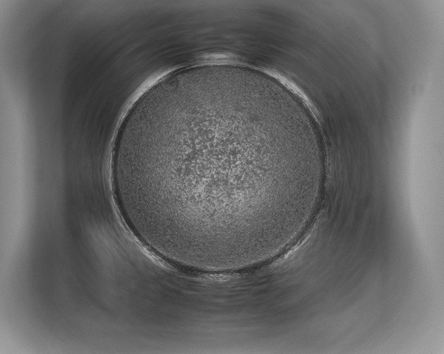 X0000113311333200909211134