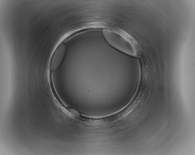 X0000113311334200909211134