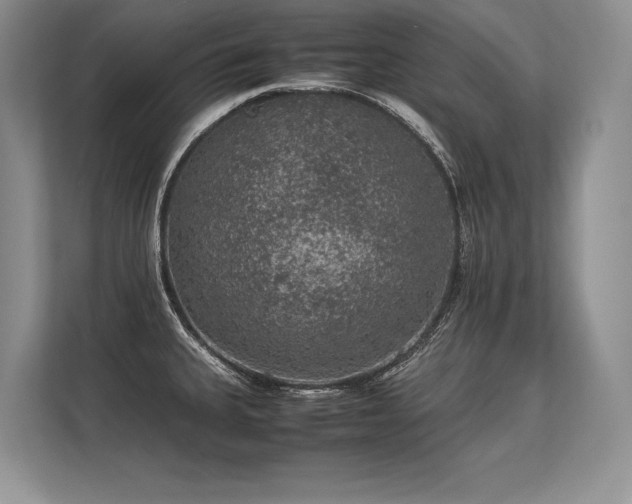 X0000113311335200909211134