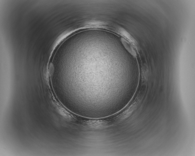 X0000113311336200909211134