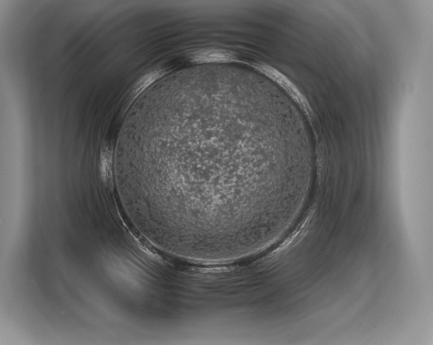 X0000113311337200909211134