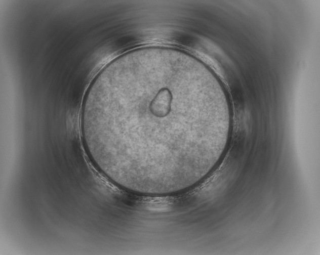 X0000113311338200909211134