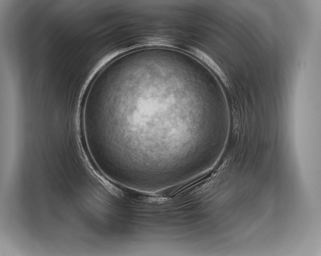 X0000113311339200909211134