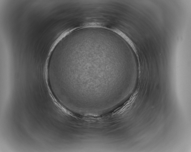 X0000113311341200909211134