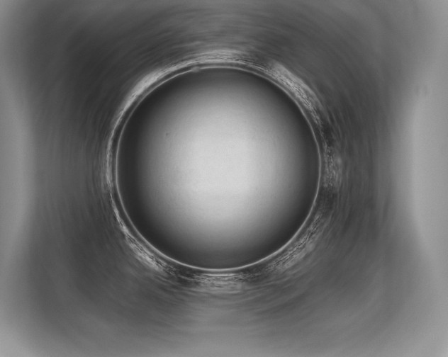 X0000113311342200909211134