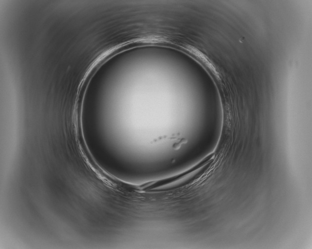 X0000113311343200909211134