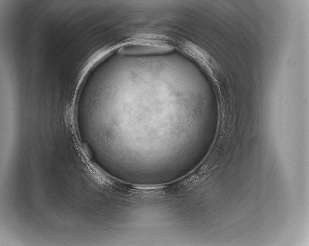 X0000113311344200909211134