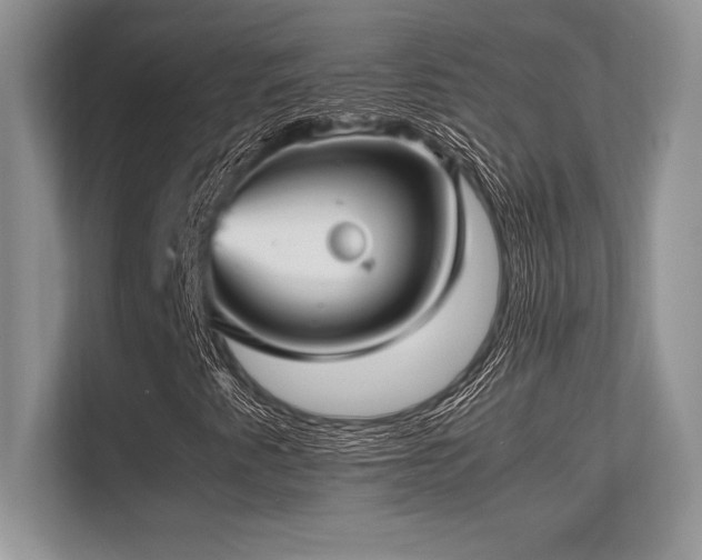 X0000113311345200909211133