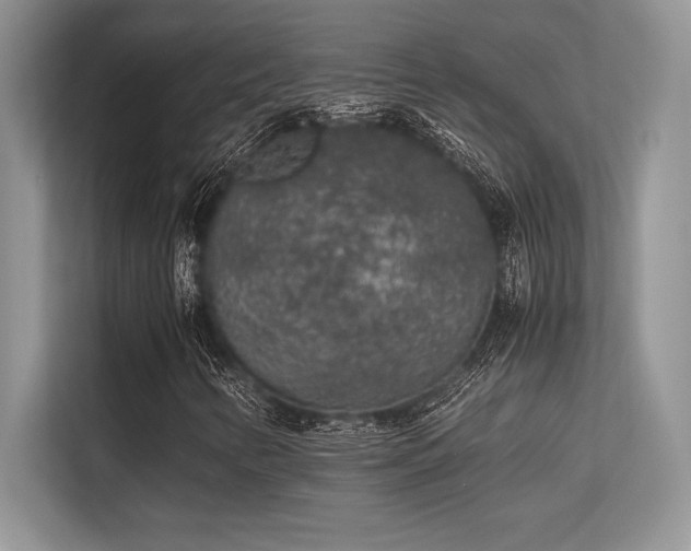 X0000113311346200909211133