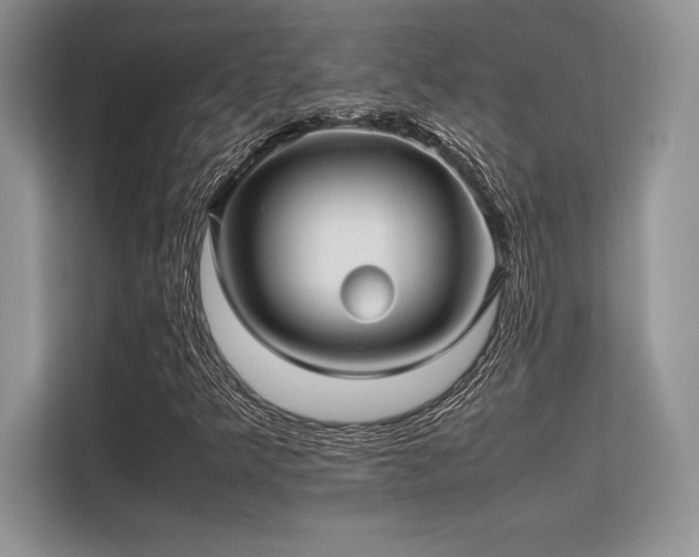 X0000113311349200909211133