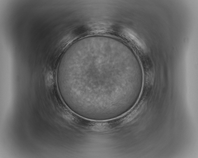 X0000113311353200909211133