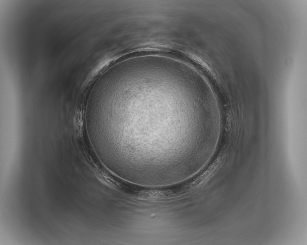 X0000113311355200909211133