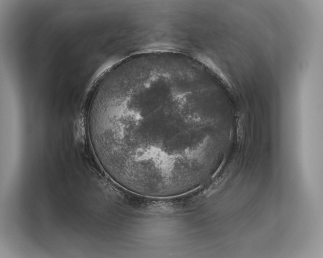 X0000113311358200909211133