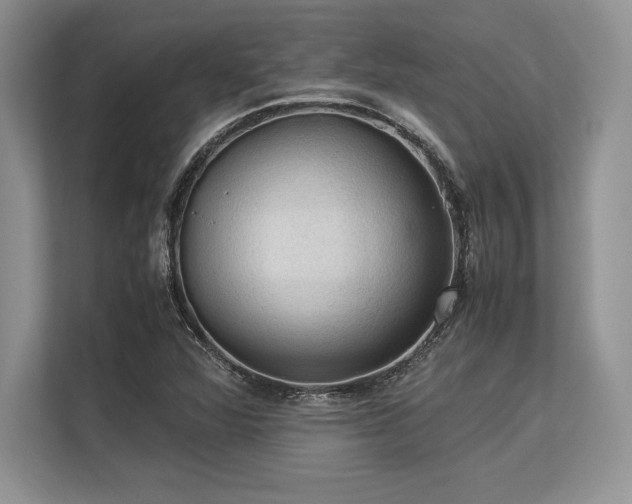 X0000113311360200909211133