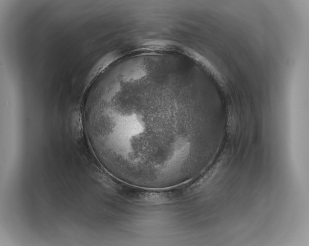 X0000113311362200909211133