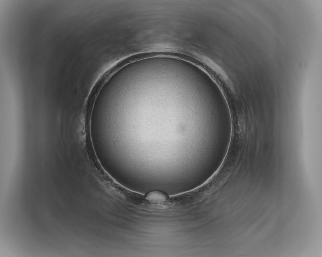 X0000113311364200909211133