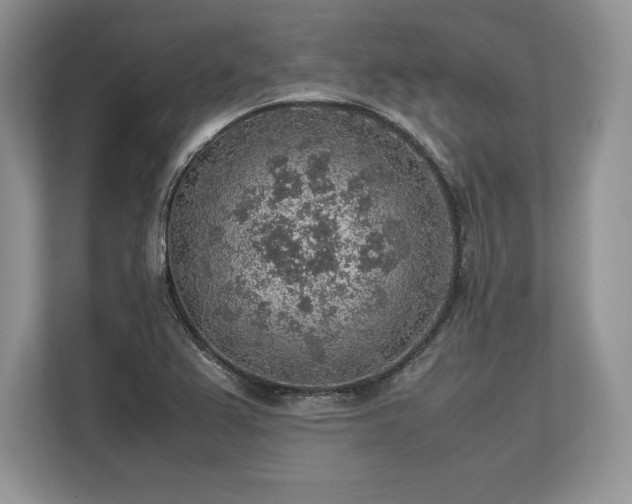 X0000113311367200909211133