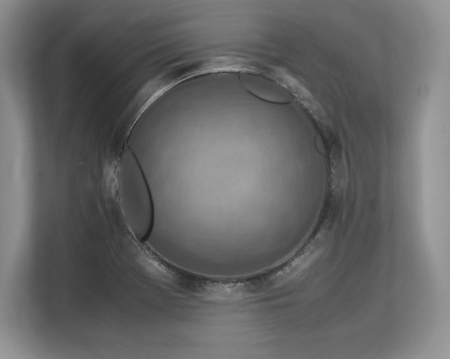 X0000113311369200909211133