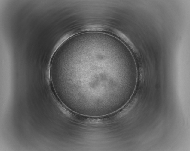 X0000113311370200909211133