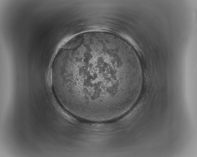 X0000113311371200909211133