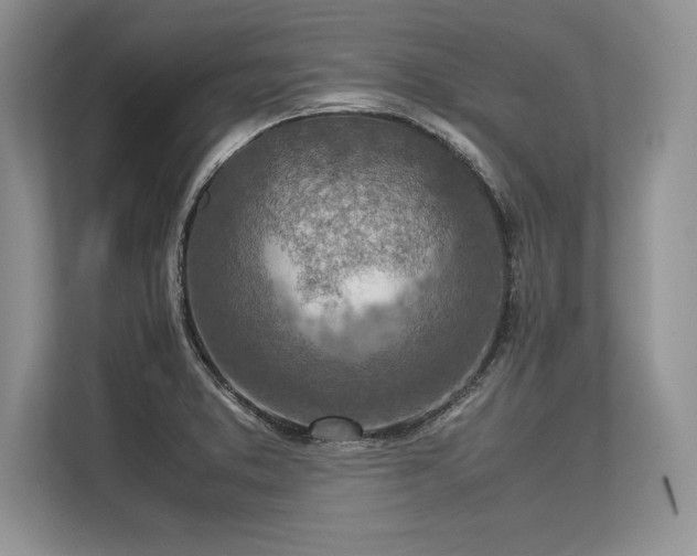 X0000113311373200909211133