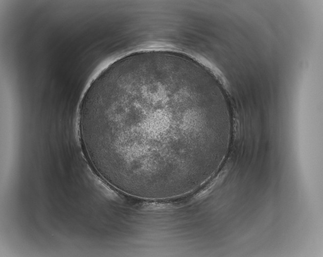 X0000113311374200909211133