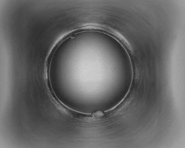 X0000113311376200909211133