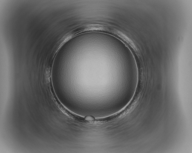 X0000113311377200909211133