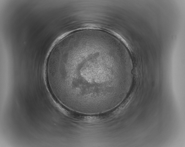 X0000113311379200909211133